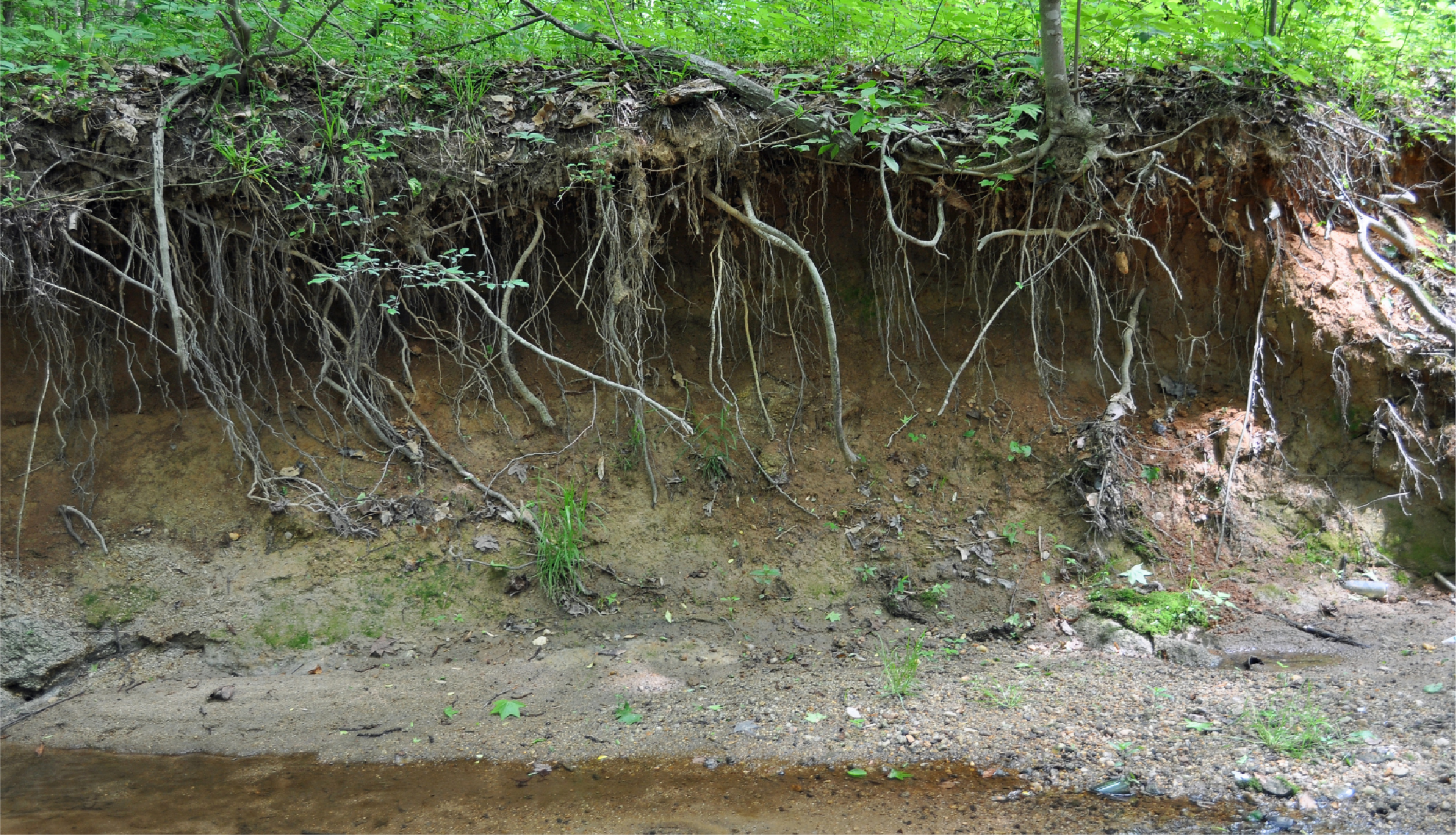 Protéger nos sols, un enjeu local et global