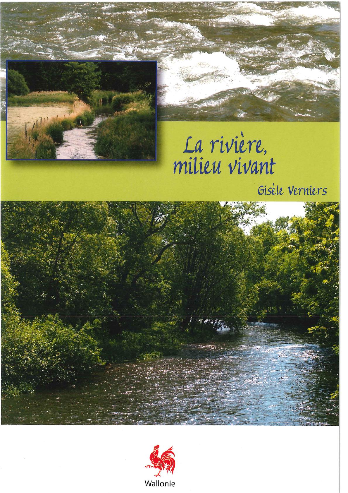 La rivière, milieu vivant
