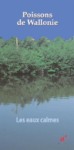Poissons de Wallonie - les eaux calmes