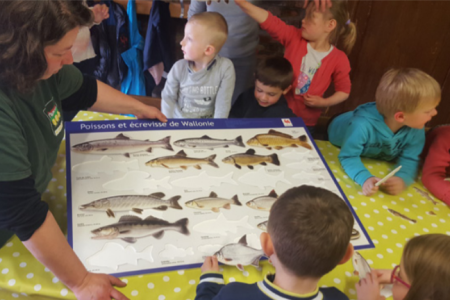 Poisson qui es-tu ?