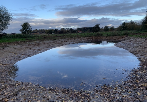 Projets de restaurations de zones humides dans le bassin de la Mehaigne