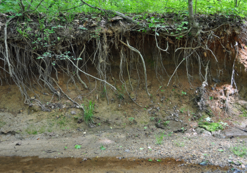 Protéger nos sols, un enjeu local et global